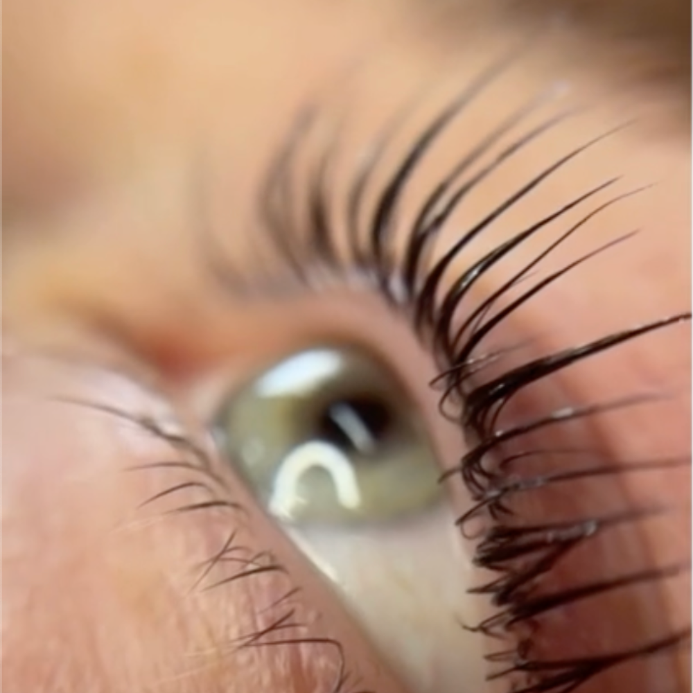 Korean Lashlift Live Training