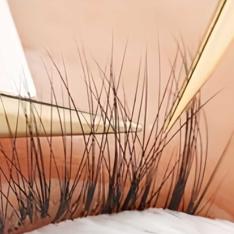 Lash Extension Tweezer