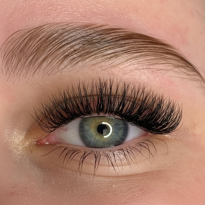 Free Lash Extension Live Training