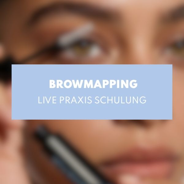 Schulung Brow Mapping