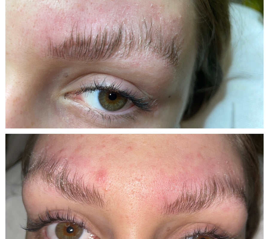 Vorher / Nachher · Modellarbeit aus dem Browlift Online-Kurs